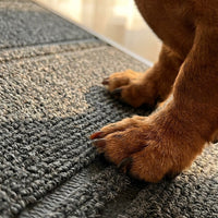 The Dachshund Safety Ramp