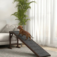 The Dachshund Safety Ramp